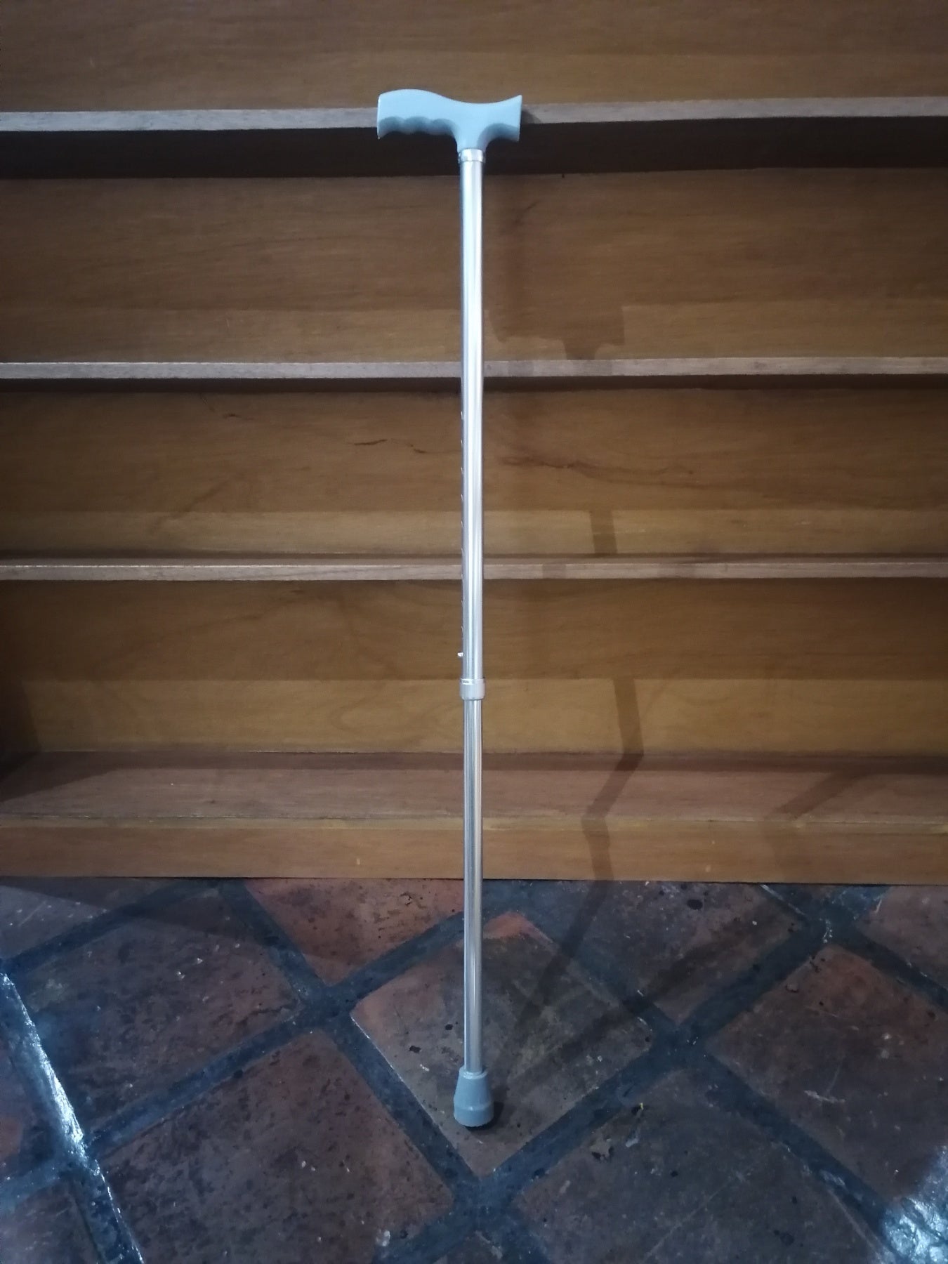 Single Cane (Silver)